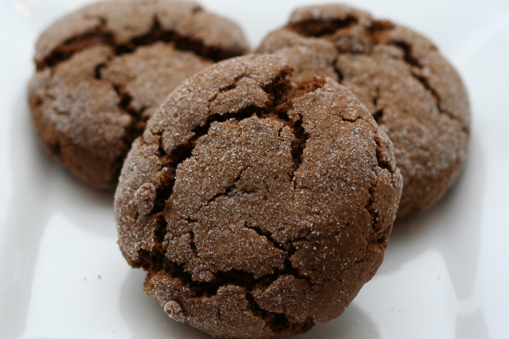 ultimate ginger cookie